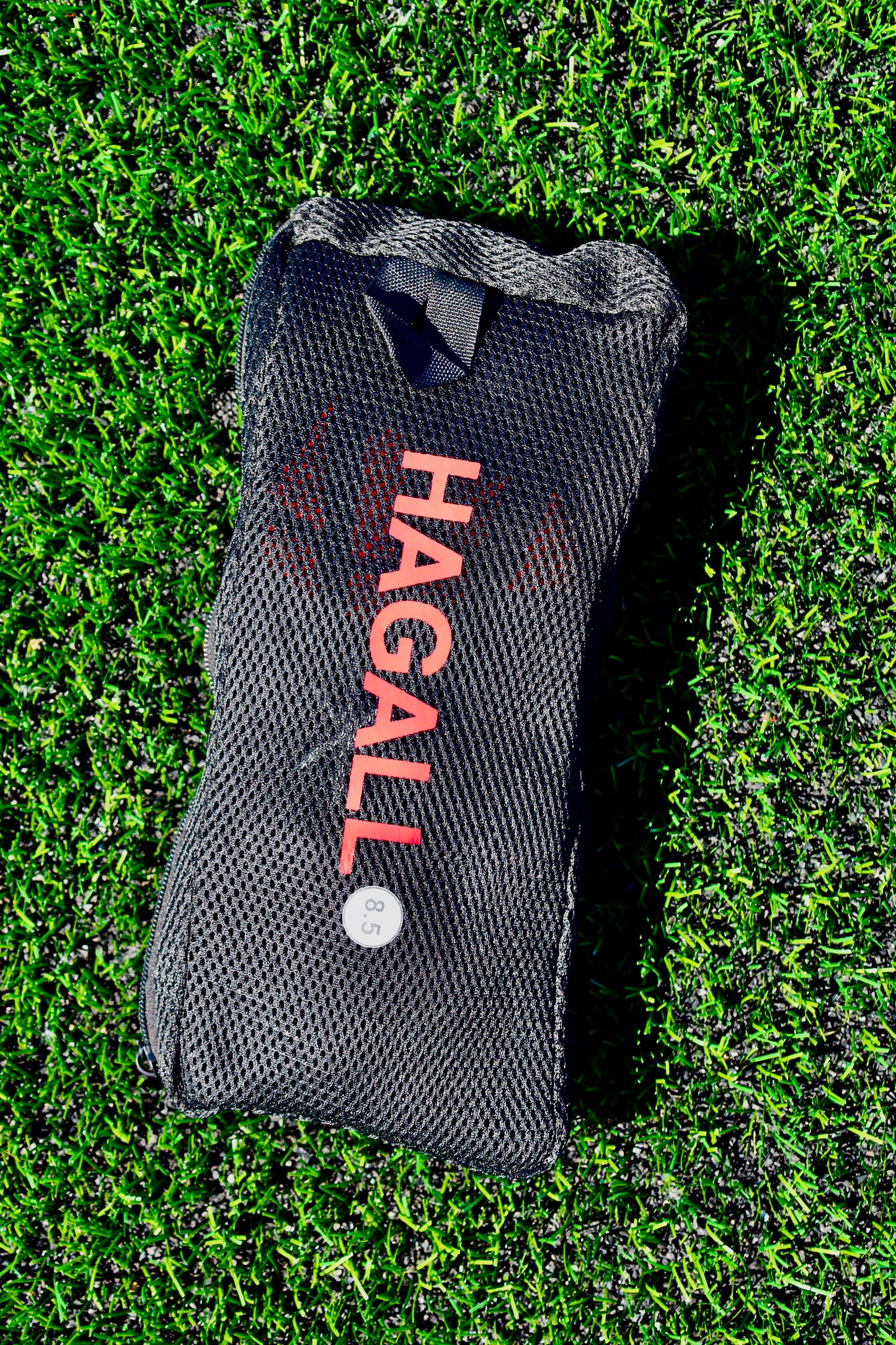 HAGALL INFERNO