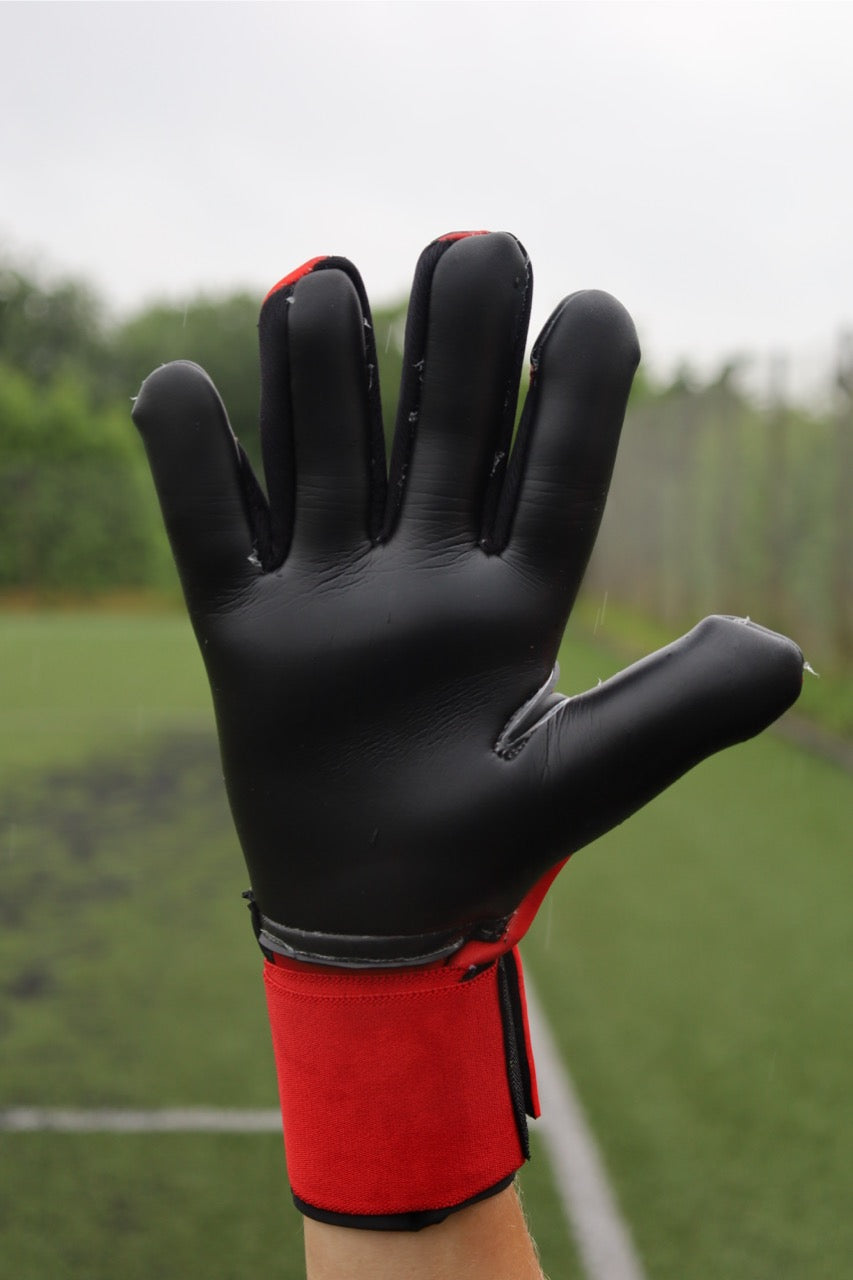 HAGALL RedBlack Passion